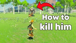 How to kill the Lynel on the Great Plateau  Botw Tutorial [upl. by Lesli]