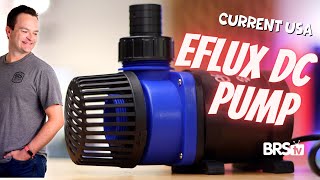 Quiet Efficient amp AFFORDABLE Aquarium Pumps Current USA Eflux Flow Pumps [upl. by Wisnicki]