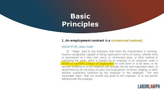 Employment Contracts 2  Masterclass 2024 [upl. by Cardon]