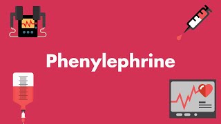 Phenylephrine  Vasopressors amp Inotropes [upl. by Aihseya]