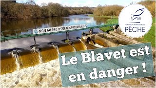 LE BLAVET EST EN DANGER   FEDERATION DE PÊCHE DU MORBIHAN [upl. by Yrakcaz]