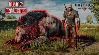 The Deadly Beast of White Orchard  Witcher 3 Battle Guide [upl. by Gnahk676]