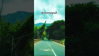 മസനഗുഡി വഴി ഊട്ടിലേക് ഒരു യാത്ര 💕 malayalam music tamil travel nature viralvideo ooty [upl. by Fafa364]