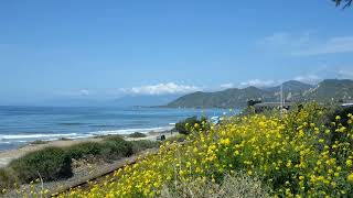 Old Pacific Coast Highway [upl. by Botsford]