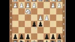 Chess Openings Albin Counter Gambit [upl. by Shanie]