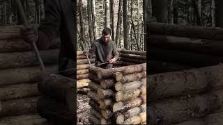 bushcraft build camp camping survival shelter wildlife skills lifehacks forest [upl. by Waechter]