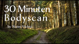 Bodyscan 30min  Zonder muziek  Mindfulness meditatie  Nederlands  30minuten [upl. by Erreid]