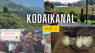 Kodaikanal Vlogs  Tibetian shopping  Coakers view Guna caves Rabit shed [upl. by Nevuer]