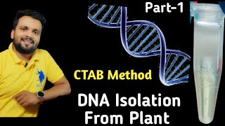 DNA isolation from Plant Part1 [upl. by Kcirdaed908]