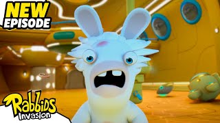 Mad Rabbid and the secret of the flying submarine S04E01  RABBIDS INVASION  Cartoon for Kids [upl. by Animahs52]