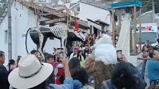 FIESTAS DE GUAPULO 🤡🪅🎊 QuitoEcuador [upl. by Asihtal]