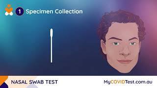 All Test SARSCoV2 Antigen Rapid Test  Nasal Swab Easy at home test kit for Coronavirus [upl. by Attey340]