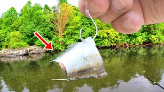 If You Like To Eat Catfish  Easy Way To Catch Loads [upl. by Dun]