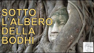 LIlluminazione del Buddha sotto lalbero della Bodhi [upl. by Turner382]