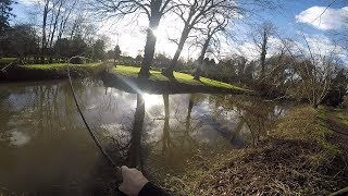 Stick Float Fishing The River Lark Trotting for Chub amp Roach [upl. by Ilarin]