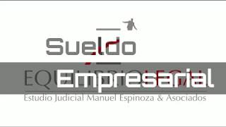 Sueldo Empresarial Puede el dueño de la empresa asignarse una remuneracion [upl. by Yla]