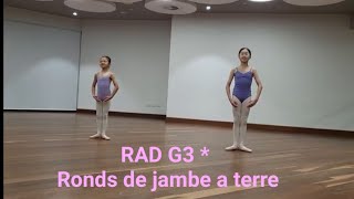 RAD Grade 3 Ronds de jambe a terre C7 [upl. by Traggat810]