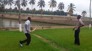 Yamoussoukro Côte dIvoire un crocodile dans le jardin [upl. by Aikel]