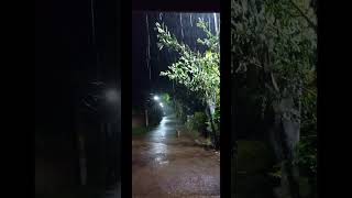 Rainy night rain rainyday thunderstorm nature Magiclampaj shorts naturesounds rain [upl. by Ataga]