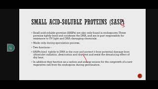 Small acidsoluble proteins SASPs  Microbiology by Neha maam [upl. by Laufer843]