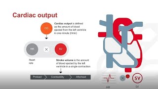 Cardiovascular Physiology 1 of 3 [upl. by Adnana859]