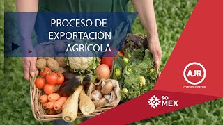 🥭 TOP 10 Alimentos Exportados de México 🍋  Cosechando Negocios [upl. by Eilyr]