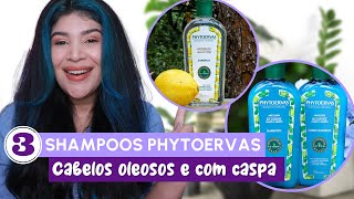 ðŸ†3 SHAMPOOS PHYTOERVAS PARA CABELOS OLEOSOS E COM CASPA Low PooVegano [upl. by Anibor650]