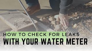 How to check for leaks with your water meter [upl. by Le]