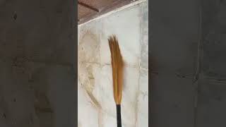 asmrsounds satisfying trending vlog cleaning floorcleaning [upl. by Truman]