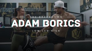 How To Land a Low Leg Kick Like PFL Fighter Adam Borics  THE BREAKDOWN [upl. by Alenairam]