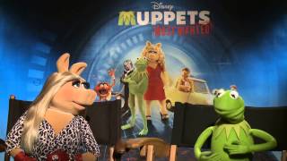 MUPPETS MOST WANTED Kermit amp Ms Piggy Interview [upl. by Mou239]