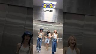 Mamamoo and Hwasa doing the dangdang Dance Challenge mamamooplus hwasa solar moonbyul [upl. by Eillah]