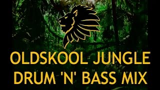 Oldskool Jungle Drum n Bass Mix 9297 [upl. by Colas]