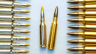 Best Long Range Calibers for 2024 [upl. by Saiasi]