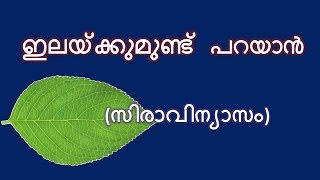 ഇലയ്ക്കുമുണ്ട് പറയാൻ സിരാവിന്യാസം [upl. by Romano]