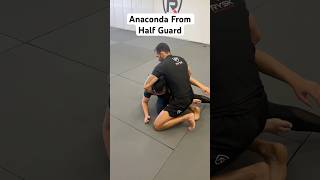 Anaconda Choke from half guard jiujitsublackbelt jiujitsu martialarts nogi [upl. by Baggs]