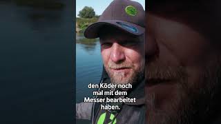 Auftrieb perfekt anpassen zeckfishing wallerangeln deadbait köfi [upl. by Stephania761]