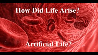 The Mystery of the Artificial Protocell [upl. by Arraet]