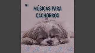 Musica para Relaxar Cachorro [upl. by Riobard]