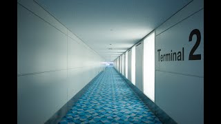 やくしまるえつこ 羽田空港第２ターミナル国際線到着エリア サウンドアート  Yakushimaru Etsuko  Haneda Airport Terminal 2 Sound Art [upl. by Mauri]