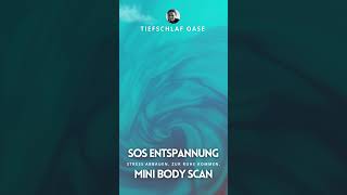 SOS Mini Bodyscan 1 Minute Soforthilfe zum Stressabbau  kurze Entspannungsübung SHORTS [upl. by Vitus]