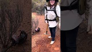 Beginner finds monster gold nugget at Kalgoorlie Western Australia [upl. by Sined]