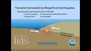 Tsunamis Generated by Megathrust Earthquakes [upl. by Aylmer]