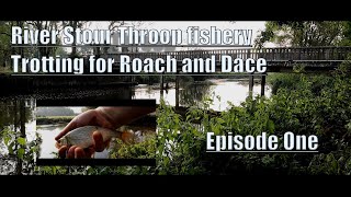 Throop fishery  River Stour  Trotting for Roach and Dace [upl. by Nicolella836]