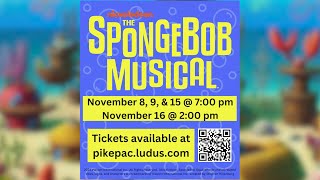 The SpongeBob Musical [upl. by Ranna]