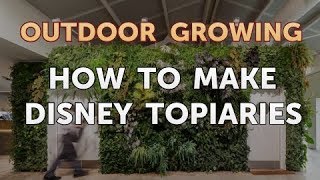 How to Make Disney Topiaries [upl. by Dynah]