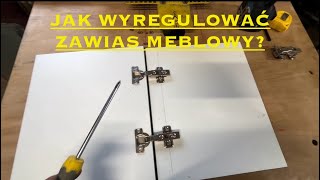 JAK WYREGULOWAĆ ZAWIASY MEBLOWE  INSTRUKTAŻ [upl. by Michigan]