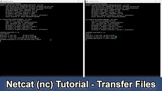 Netcat Tutorial  Transfer Files [upl. by Aloin]