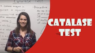 Catalase Test [upl. by Suirtimed]