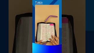 Biblia Chequera Rv1960 Imit Piel Lila Y Negro [upl. by Nahoj]